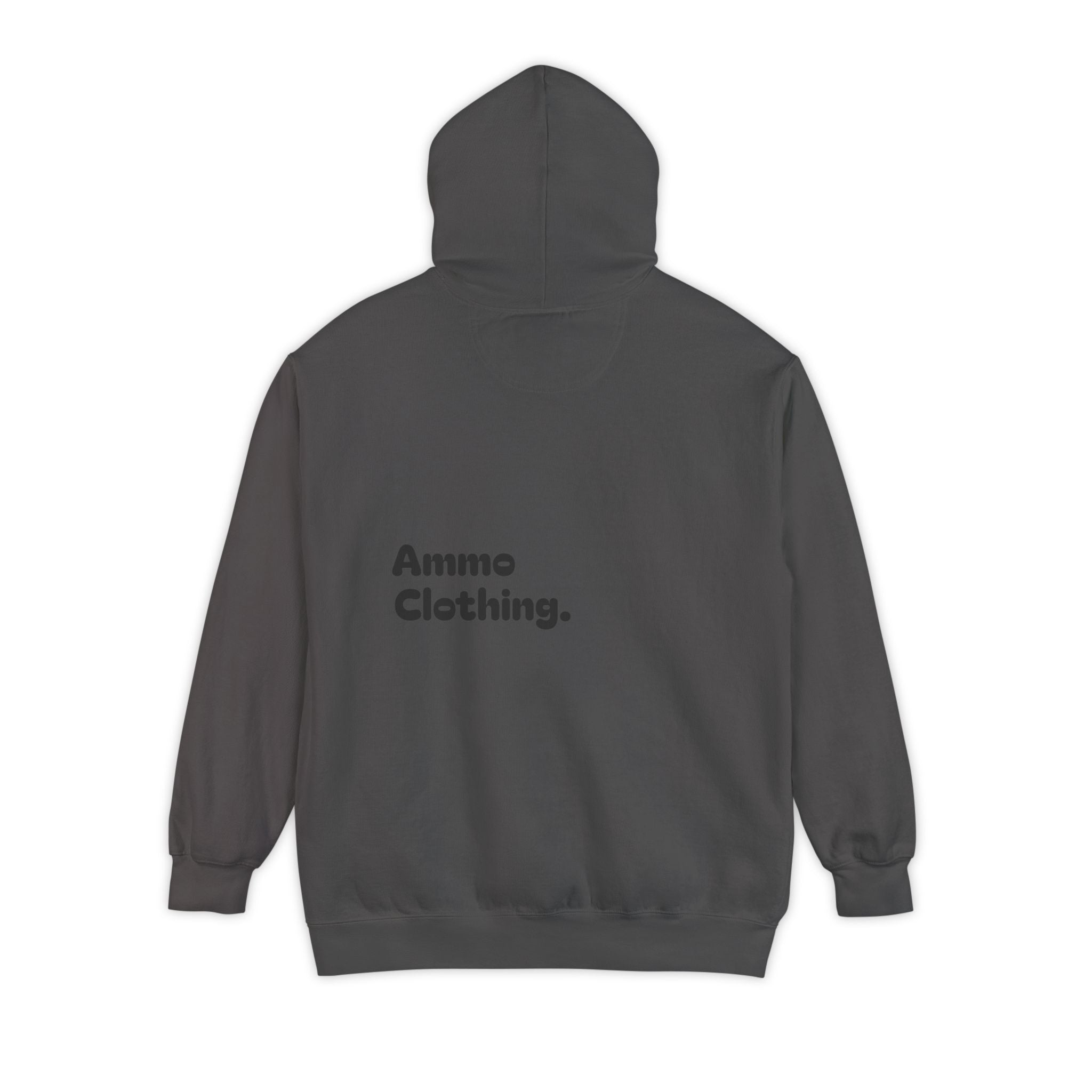 Toxic Chicks Hoodie
